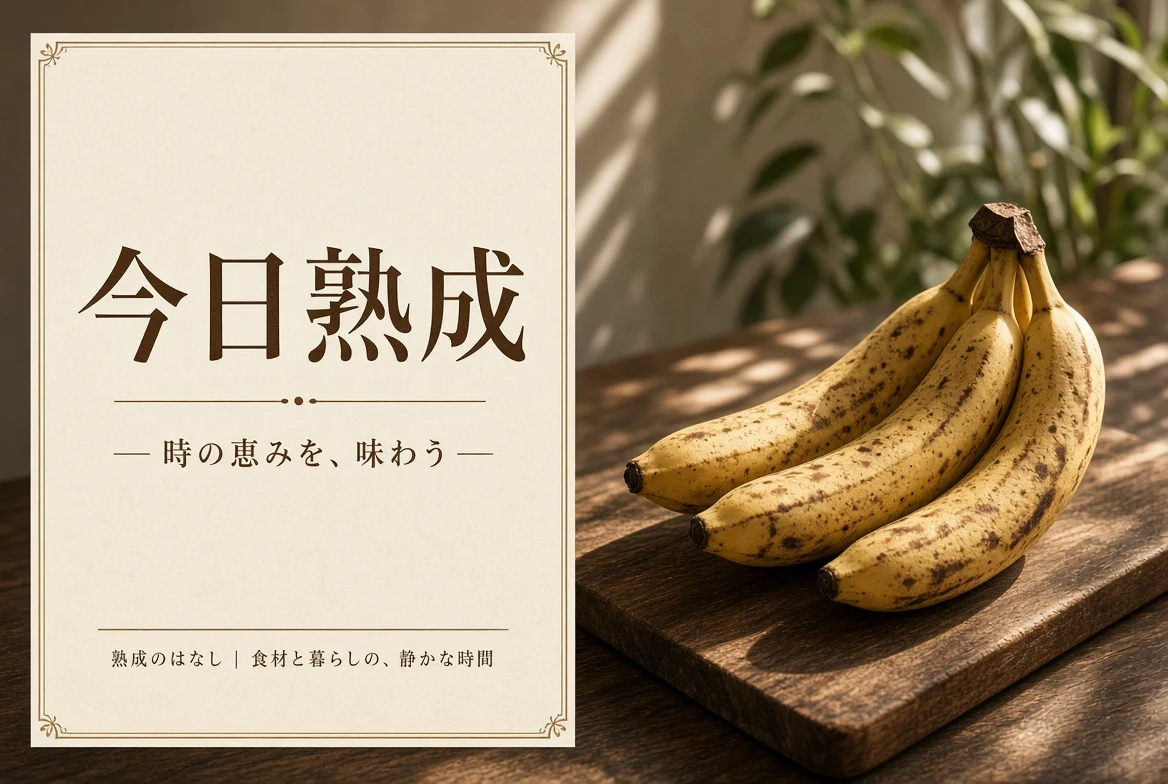 今日熟成栏目视觉